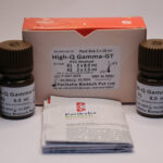 Gamma-GT 2 x 10 ml