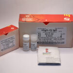 IgE 25 ml with cal
